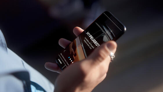 Trip Report Trip Report