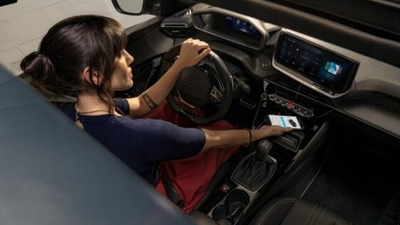 TELEMANUTENÇÃO TELEMANUTENÇÃO